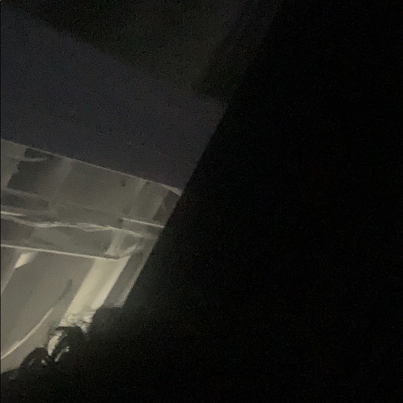 Meet your Posher, Charlie - Picture 1 of 1